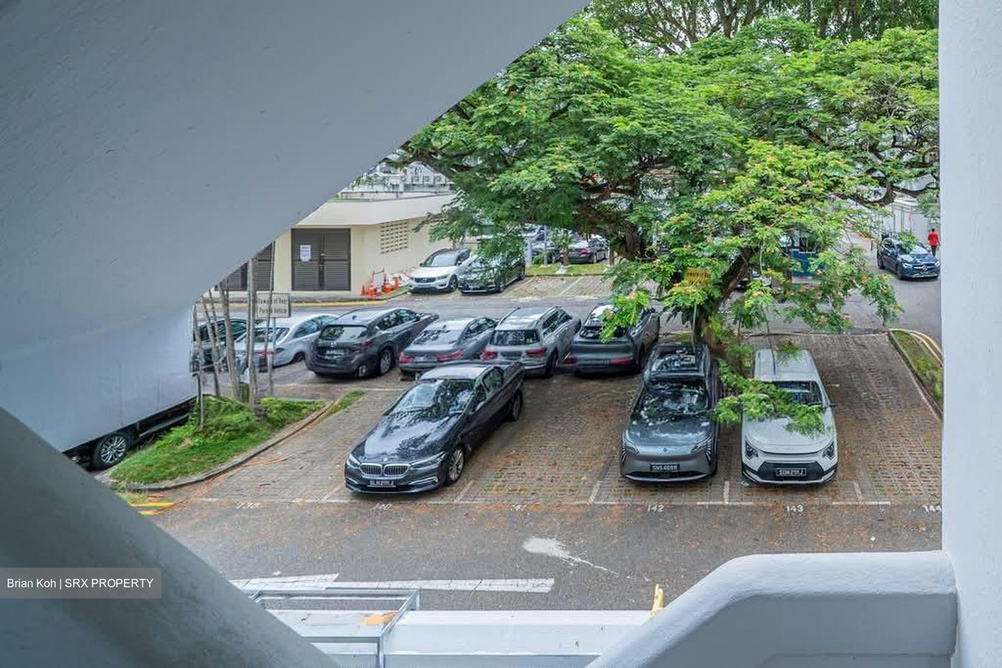Yong Siak Street (D3), Apartment #549988051